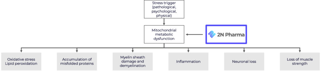 mitochondrial metabolic dysfunction, neurodegeneration